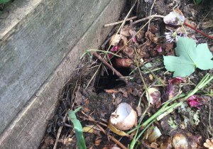 Loch im Komposthaufen