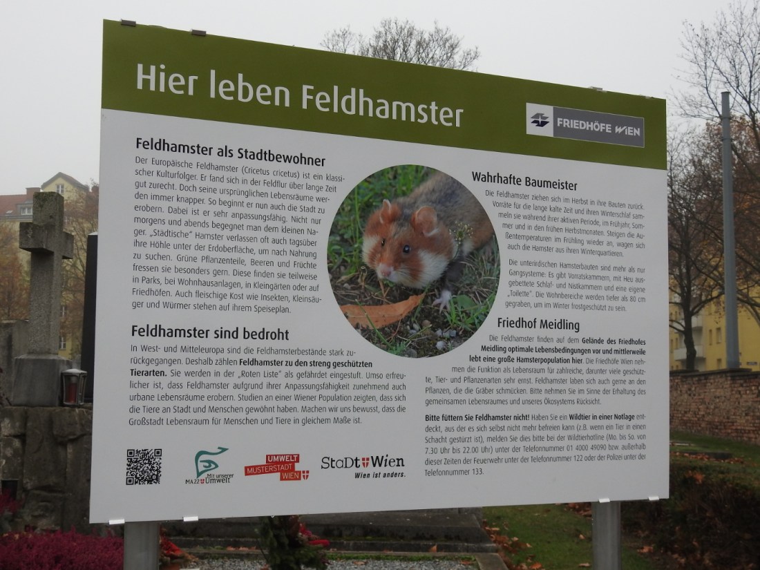 Hinweistafel über Hamster am Friedhof