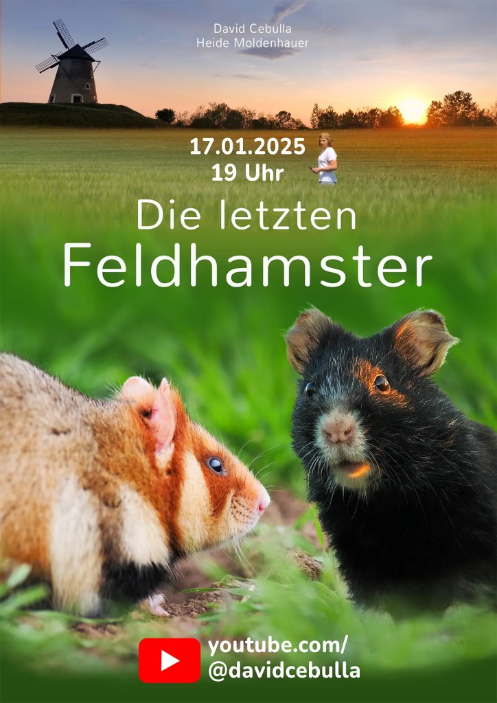 Filmposter: Die letzten Feldhamster